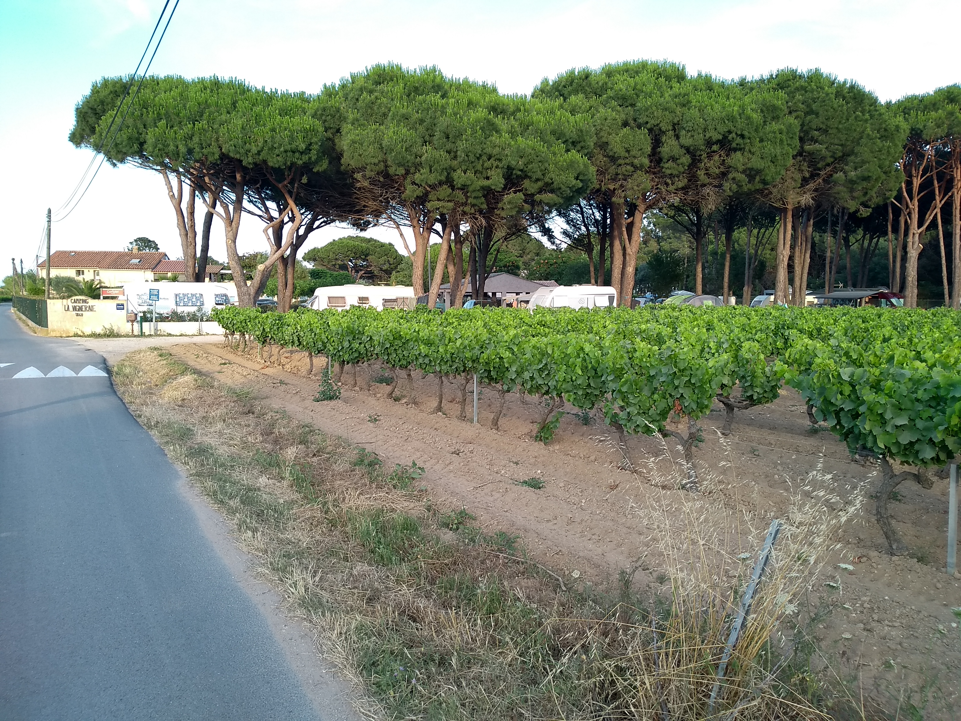 Photo n° 4 de l'avis de Ulrich.e fait le 25/06/2019 à 18:39