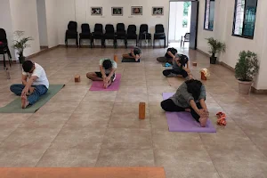 Vasanthan- Yoga class in Nagpur | Fitness club | Iyengar yoga image
