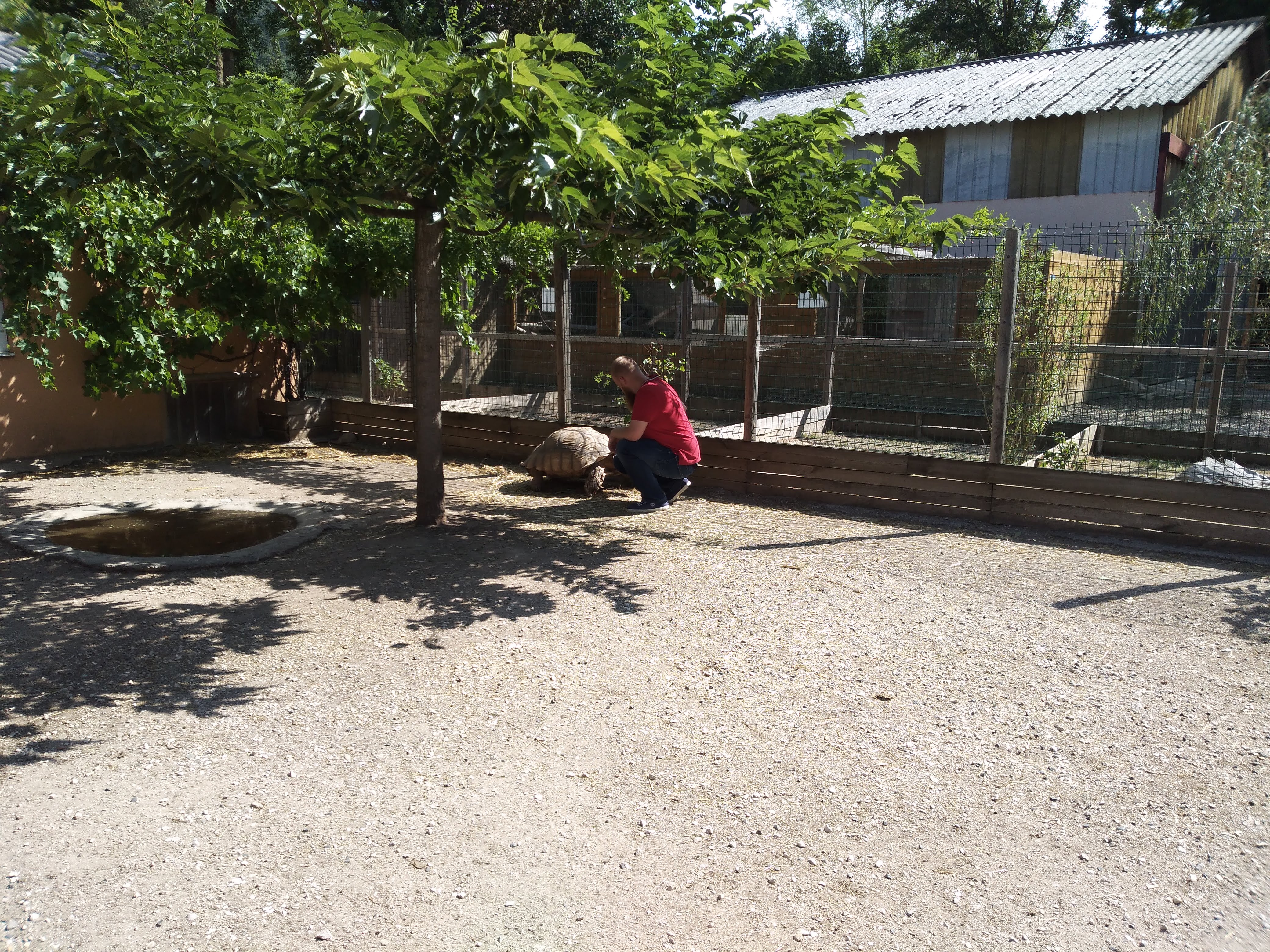 Photo n° 2 de l'avis de Cynthia.l fait le 23/08/2019 à 09:52