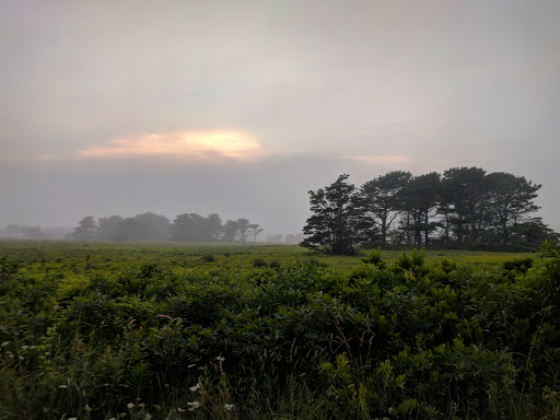 Golf Course «Miacomet Golf Course», reviews and photos, 12 W Miacomet Rd, Nantucket, MA 02554, USA