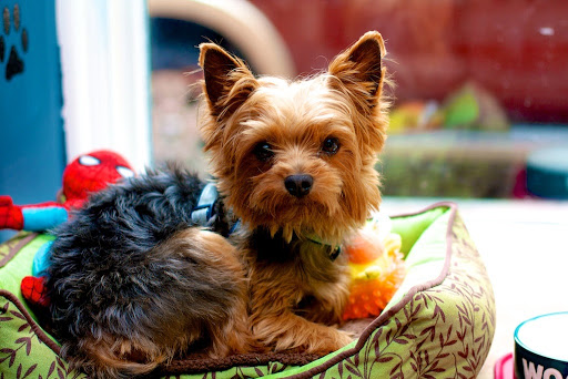 Clothing Store «May 23 Clothing and Accessories», reviews and photos, 117 W Gay St #134, West Chester, PA 19380, USA