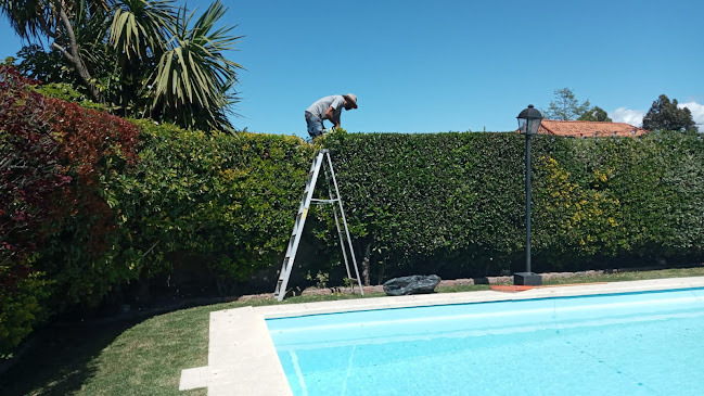 Jardinero a tu Jardin - Canelones