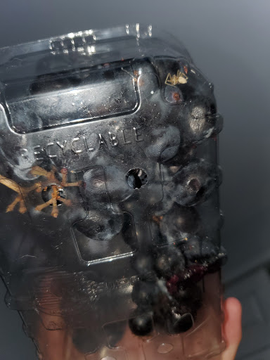 Grocery Store «King Soopers Marketplace», reviews and photos, 100 N 50th Ave, Brighton, CO 80601, USA