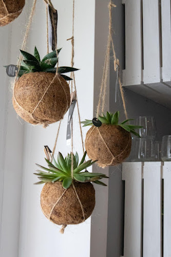 Comentarii opinii despre Kwiaciarnia Mariflor