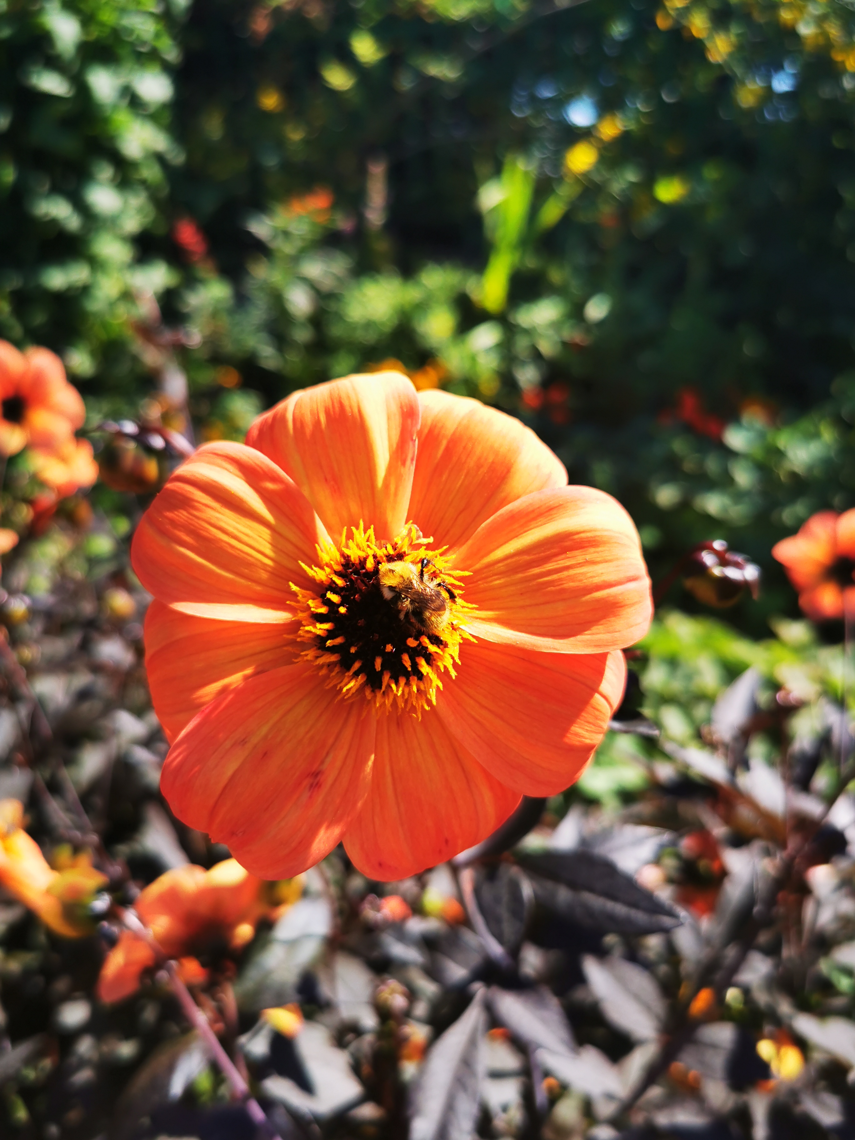 Photo n° 10 de l'avis de ASMA.A fait le 16/08/2022 à 18:29