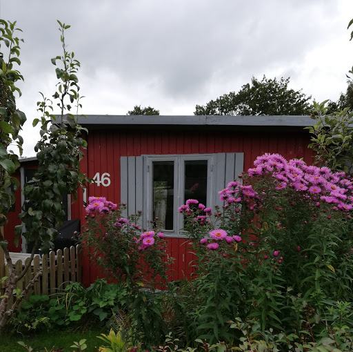 InDog Elite Center in Viborg, Viborg