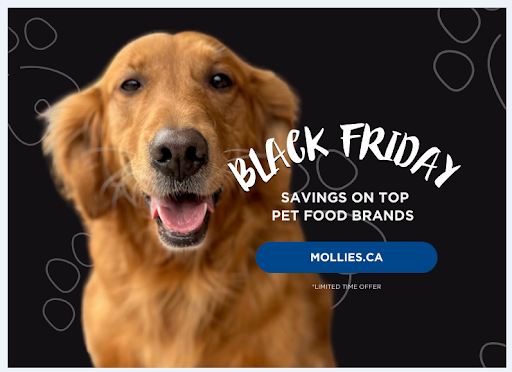 VCA Canada Kingsway Animal Hospital image