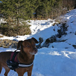 Photo n° 6 de l'avis de Zarkaaah. fait le 09/01/2019 à 07:48 pour Hôtel Chalet du Crey à Les Avanchers-Valmorel