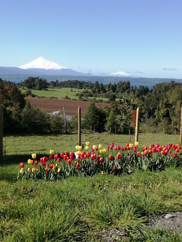 Opiniones de Quincho Tierra Sur en Puyehue - Centro de jardinería