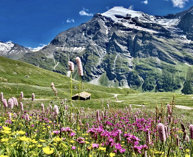 Chalet d'Alpage Célestin à Bessans