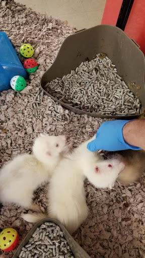 Pet Supply Store «Petco Animal Supplies», reviews and photos, 394 Cox Creek Pkwy, Florence, AL 35630, USA