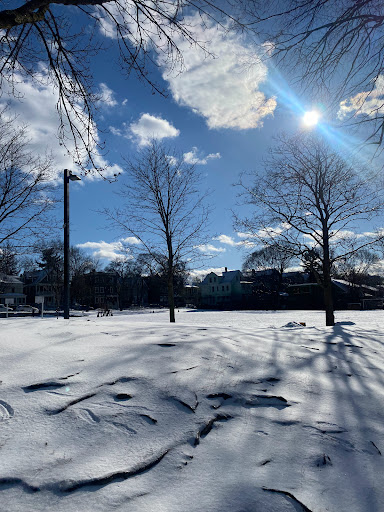 Park «Raymond Park», reviews and photos, Raymond St, Cambridge, MA 02140, USA