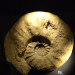 Photo n°5 de l'avis de Jubi0096. fait le 02/11/2023 à 16:51 sur le  Aquarium Wilhelmshaven incl. Prehistoric Sea Museum à Wilhelmshaven