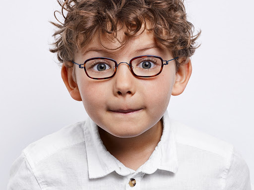 Optician «Doyle Opticians», reviews and photos, 405 Lake Cook Rd A-12, Deerfield, IL 60015, USA