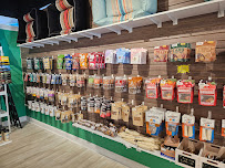 Petquoson - Photo 9 - Car repair in Poquoson, VA, Chesapeake