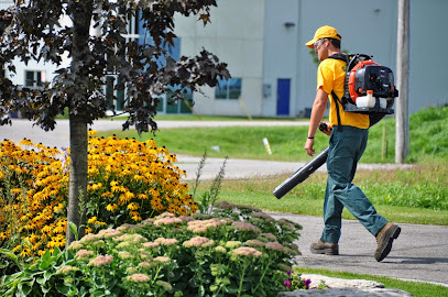The Grounds Guys of Kitchener