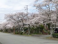 豊能町立東ときわ台小学校