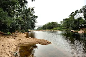 Ponte Suspensa do Rio São João image