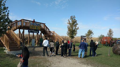 Farm «Kellers Farmstand», reviews and photos, 2500 Johnson Rd, Oswego, IL 60543, USA