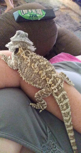 Pet Supply Store «PetSmart», reviews and photos, 1125 Hover St, Longmont, CO 80501, USA