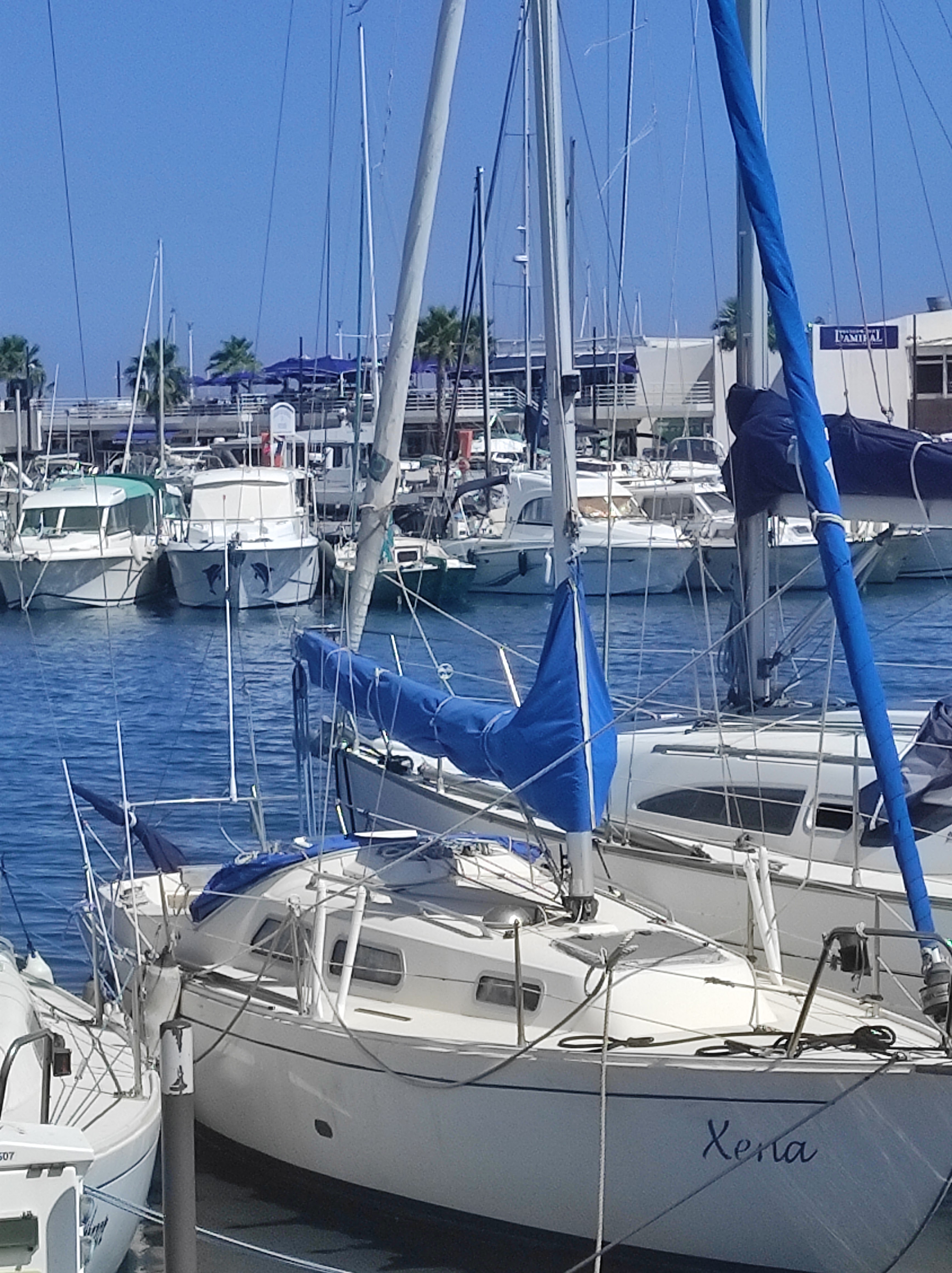 Photo n° 2 de l'avis de Czeslaw.e fait le 14/07/2023 à 19:39