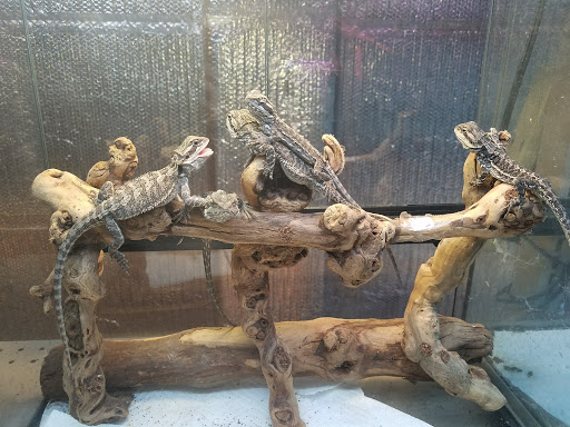 Pet Store «A to Z Pets», reviews and photos, 16010 SE Division St, Portland, OR 97236, USA