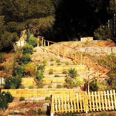 Les jardins de Seb à Aubagne