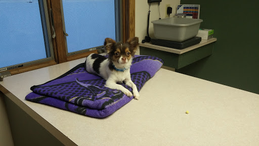 Logan Animal Hospital