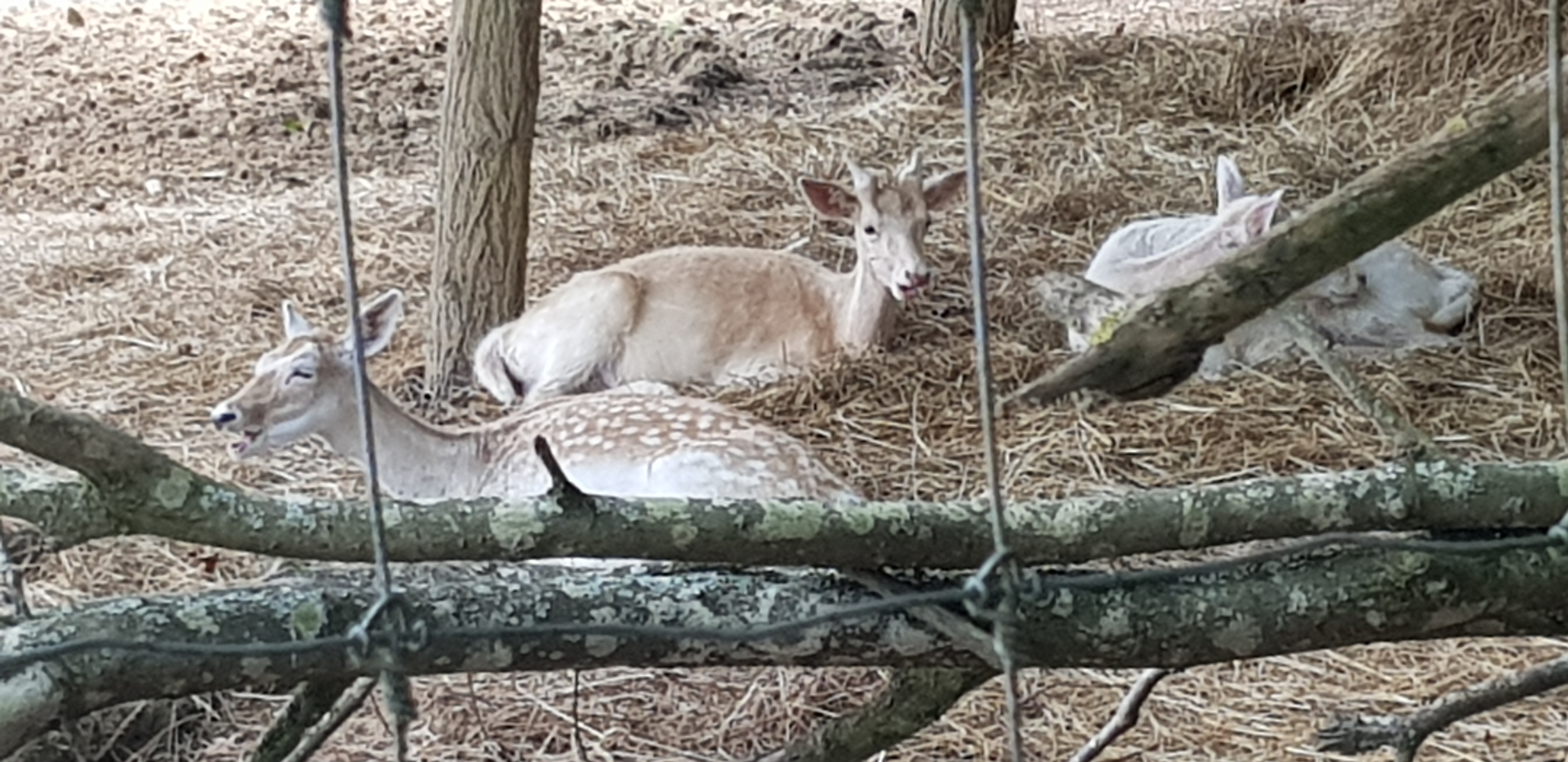 Photo n° 6 de l'avis de Alex.L fait le 30/08/2018 à 18:15