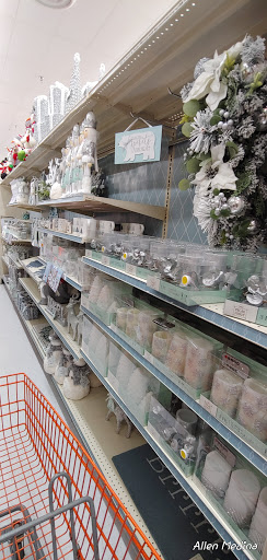 Discount Store «Big Lots», reviews and photos, 843 W Bloomingdale Ave, Brandon, FL 33511, USA