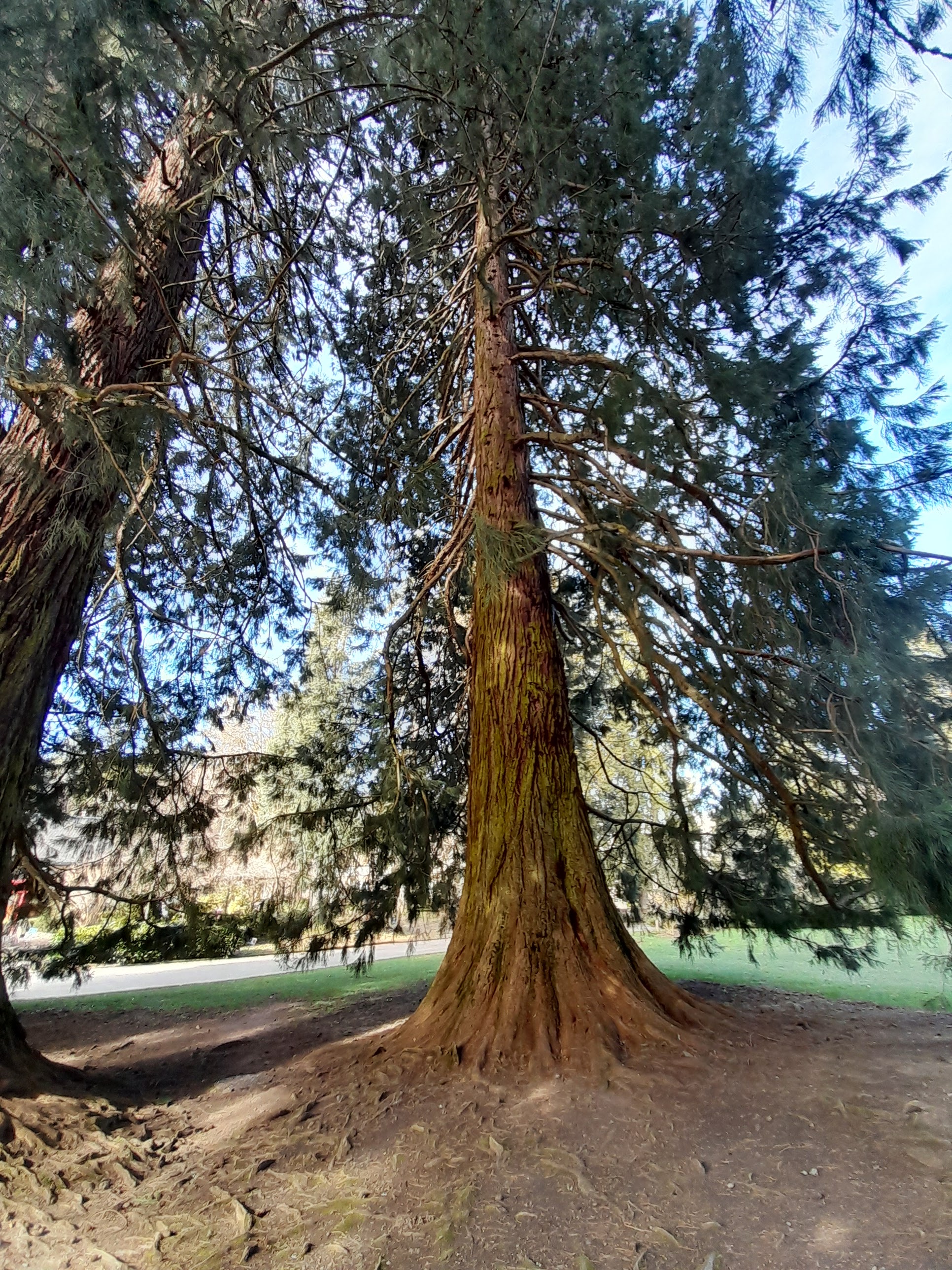 Photo n° 3 de l'avis de Pascal.U fait le 22/03/2024 à 10:16