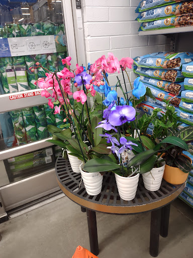 Discount Store «Walmart», reviews and photos, 2200 Holly Springs Pkwy, Holly Springs, GA 30115, USA