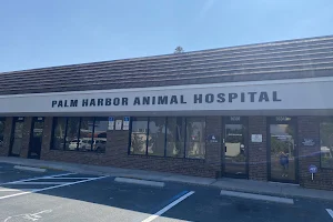 Palm Harbor Animal Hospital image