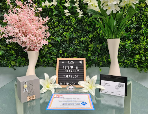 Pets In Heaven en Ramos Arizpe