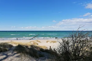 Rostock Hundestrand image