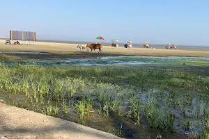 Chandipur Beach image
