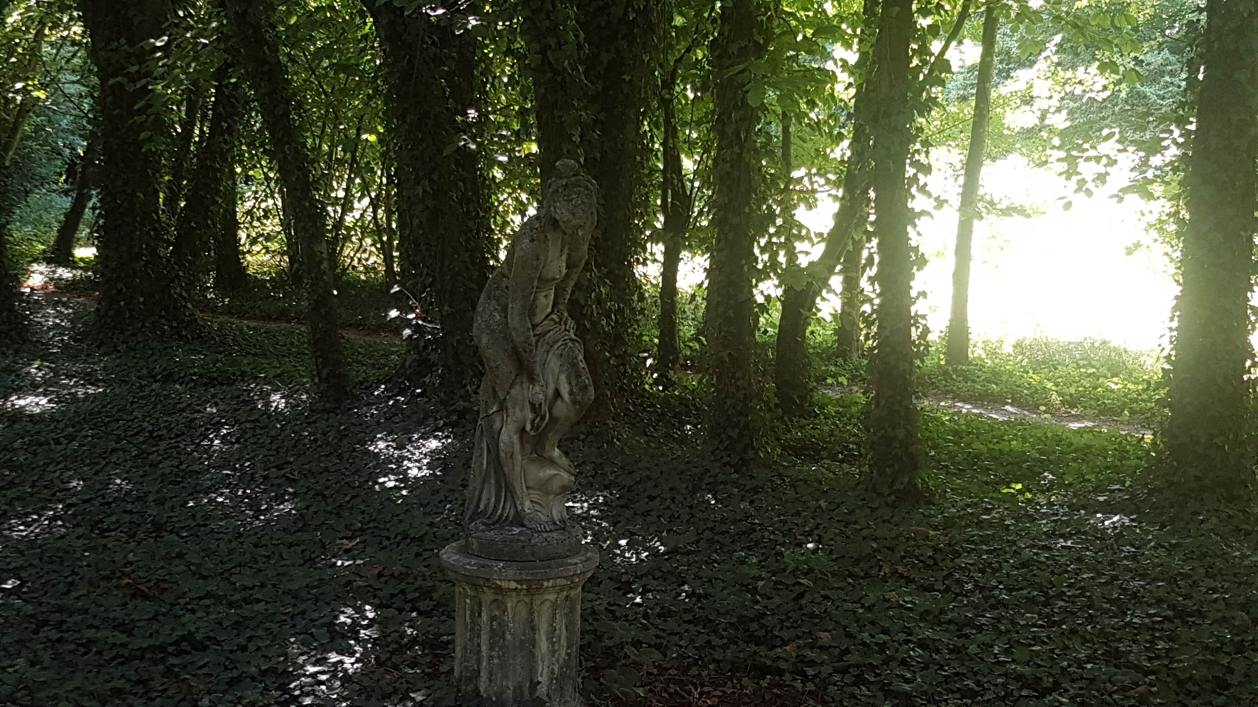 Photo n° 5 de l'avis de Tyrus.� fait le 22/08/2018 à 06:57