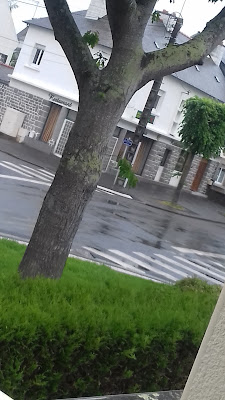 Côté Jardin à Saint-Brieuc