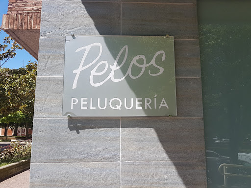 Información y opiniones sobre Peluquería Pelos de Vitoria-Gasteiz