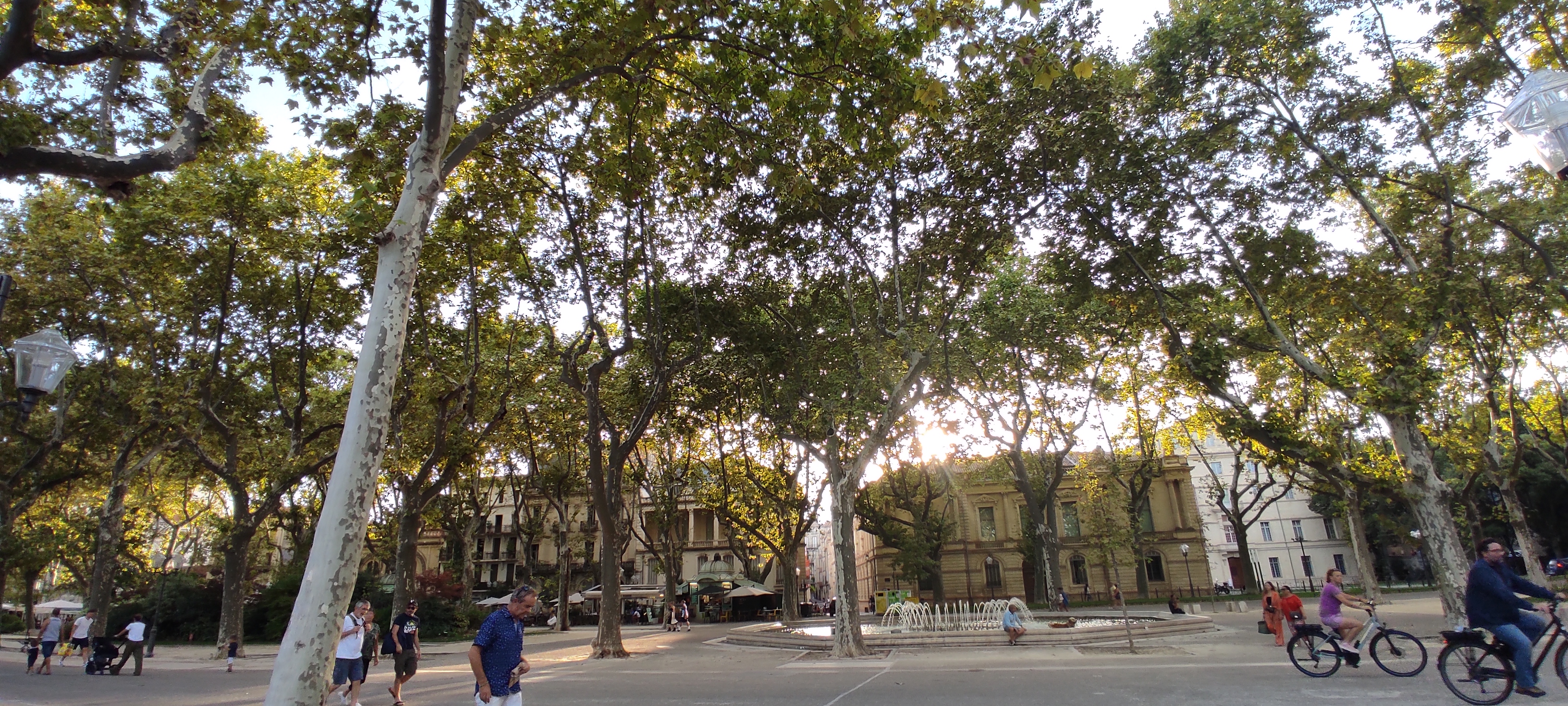 Photo n° 2 de l'avis de María.l fait le 09/11/2022 à 17:02