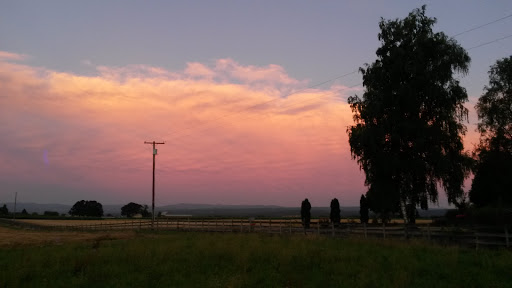 Grocery Store «Yoder Store At Yoder», reviews and photos, 32441 S Kropf Rd, Canby, OR 97013, USA