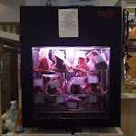 Photo n°2 de l'avis de Miki.r fait le 25/07/2020 à 08:28 sur le  La Locanda degli Amici à Spinetoli