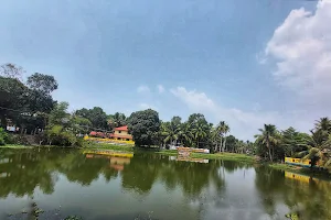 Temple Pond image