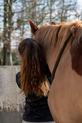 Cabinet d'ostéopathie animale Julie ROBIN à MONTAIGU