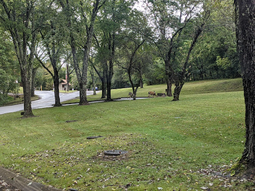 Campground «Salt Lick Creek Campground», reviews and photos, 520 Salt Lick Park Ln, Gainesboro, TN 38562, USA