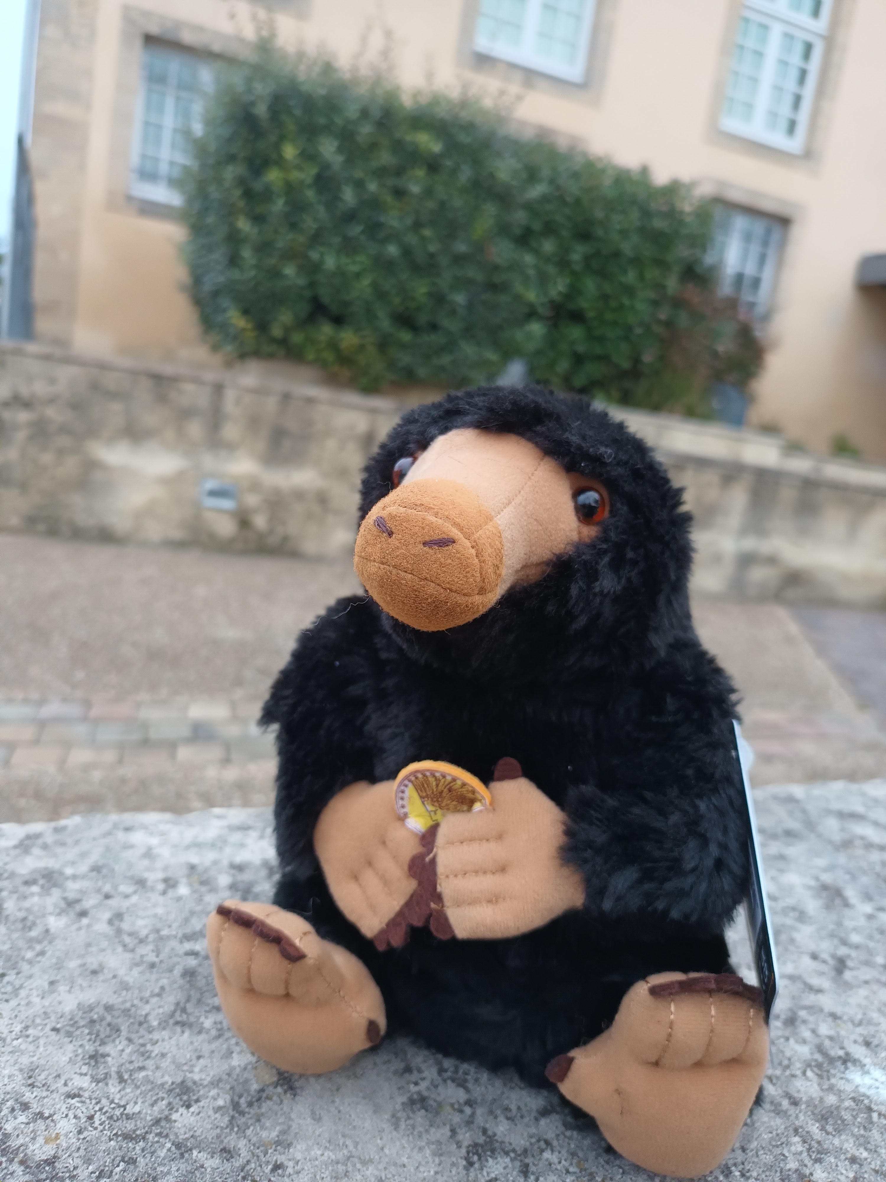 Photo n° 1 de l'avis de CeCeFox. fait le 24/10/2023 à 19:43