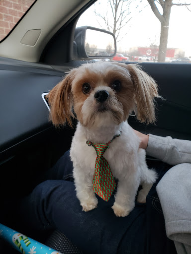 Pet Supply Store «Petco Animal Supplies», reviews and photos, 103 Commerce Way a, Woburn, MA 01801, USA