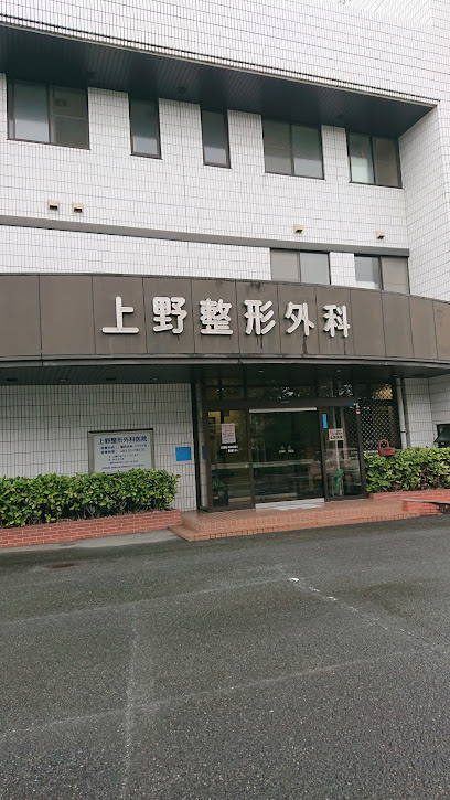 上野整形外科医院