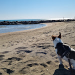 Photo n°1 de l'avis de daniele.' fait le 27/03/2022 à 22:37 sur le  Stabilimento El Pareo à Marina di San Nicola