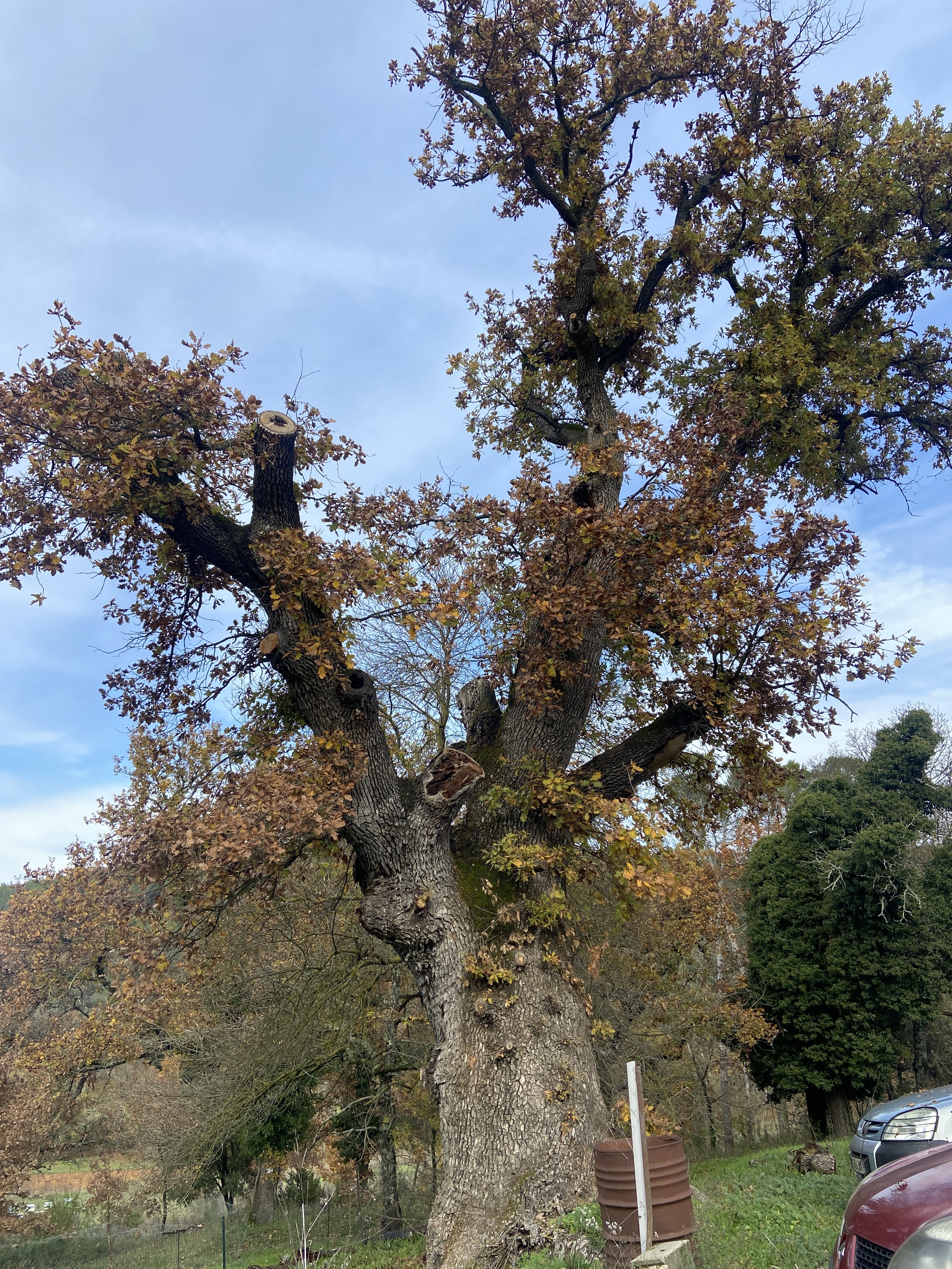 Photo n° 1 de l'avis de Clement.a fait le 22/11/2021 à 13:21